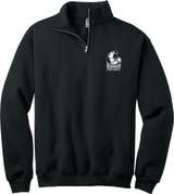 Berdnikov Bears NuBlend 1/4-Zip Cadet Collar Sweatshirt